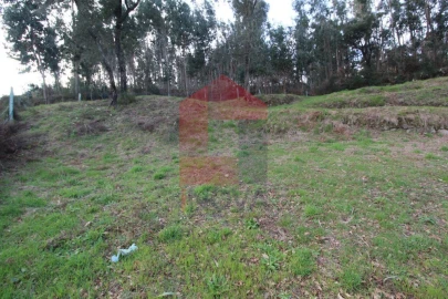 Terreno para Venda em Ribeira do Neiva