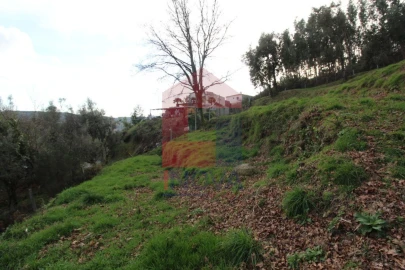 Terreno para Venda em Ribeira do Neiva