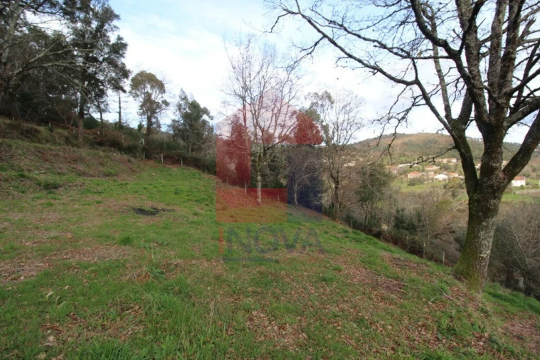 Terreno para Venda em Ribeira do Neiva Foto 5