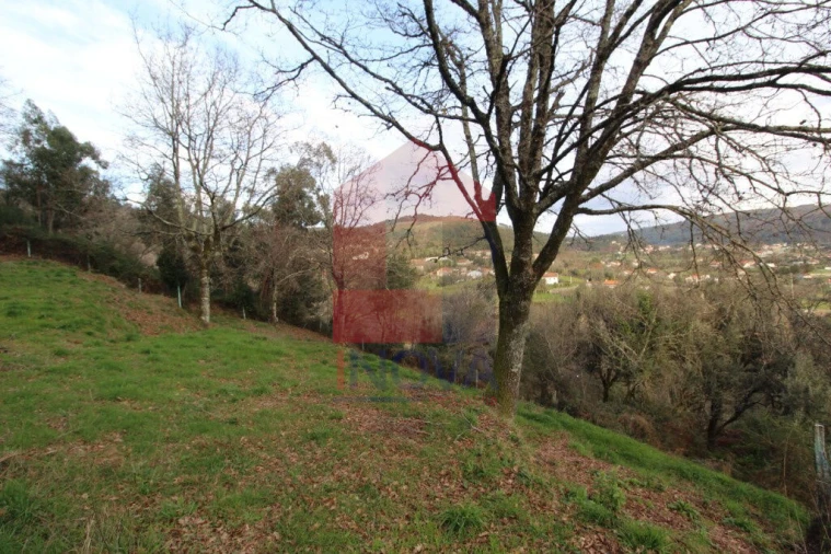 Terreno para Venda em Ribeira do Neiva Foto 4