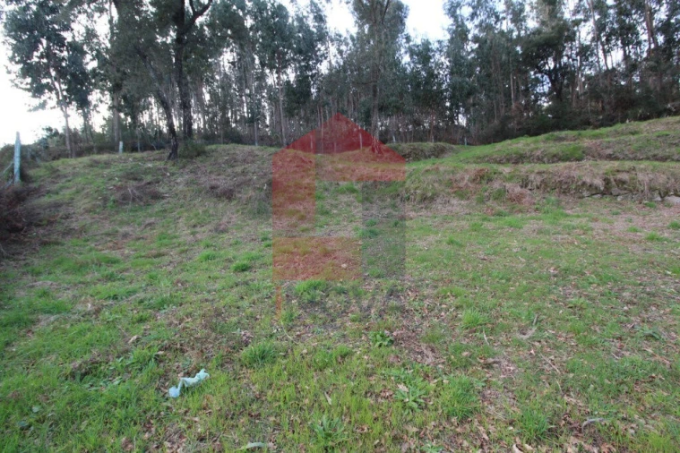 Terreno para Venda em Ribeira do Neiva Foto 2