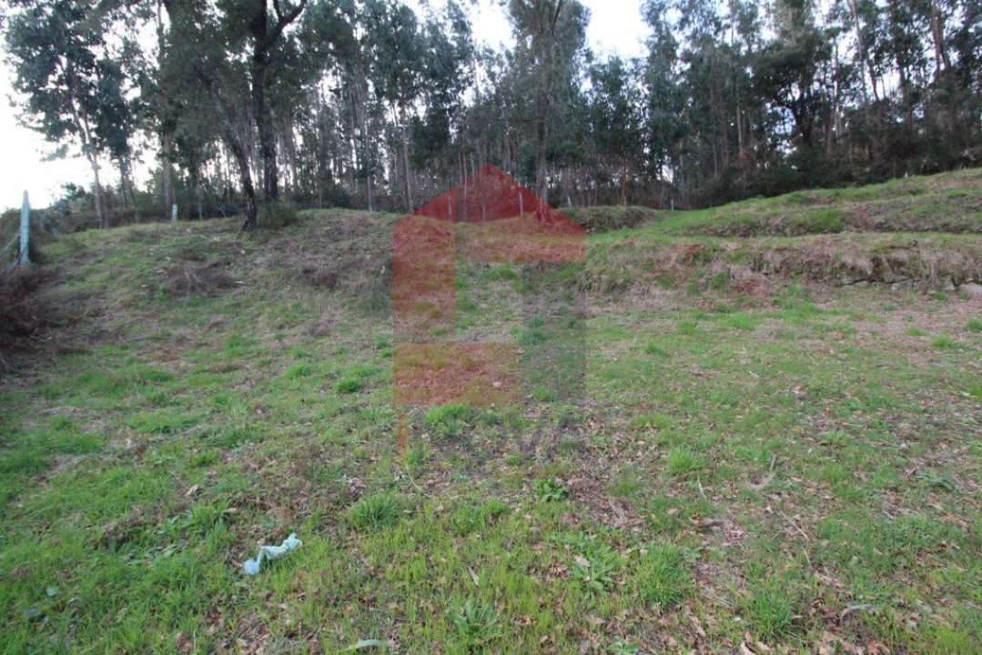 Terreno para Venda em Ribeira do Neiva Foto 2