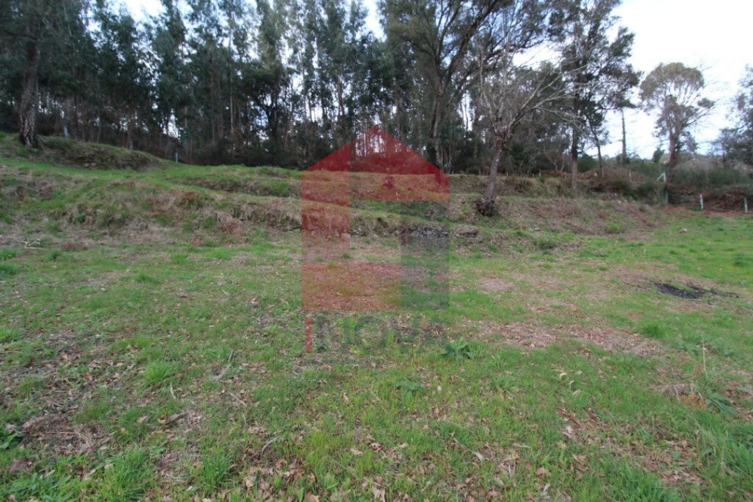 Terreno para Venda em Ribeira do Neiva Foto 3