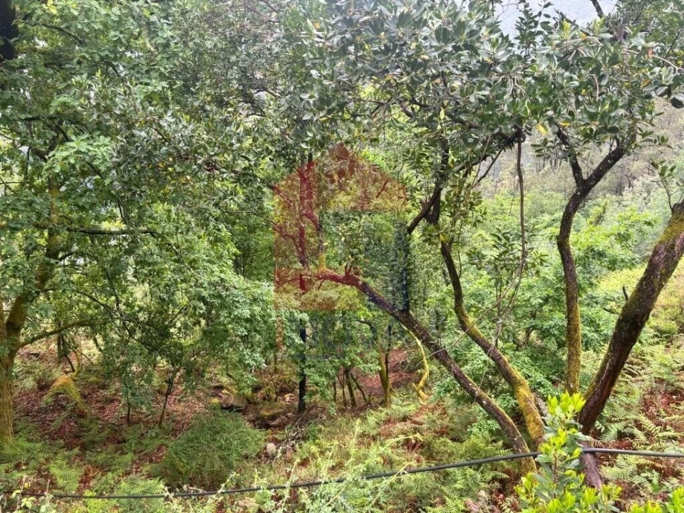 Terreno para Venda em Vilar da Veiga Foto 12