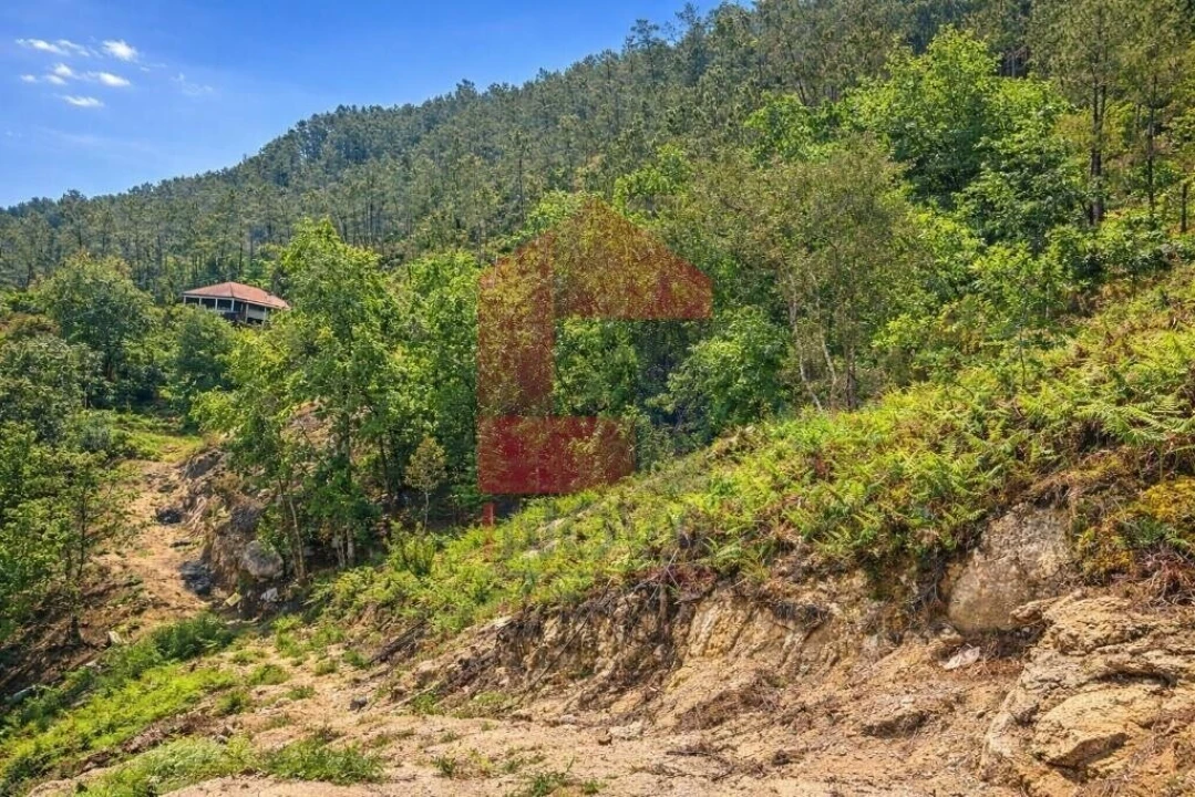Terreno para Venda em Vilar da Veiga Foto 9