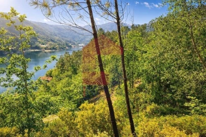 Terreno para Venda em Vilar da Veiga