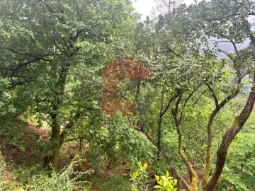 Terreno para Venda em Vilar da Veiga