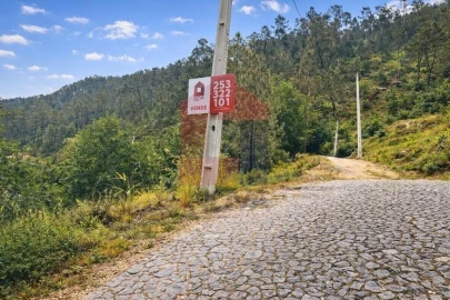Terreno para Venda em Vilar da Veiga