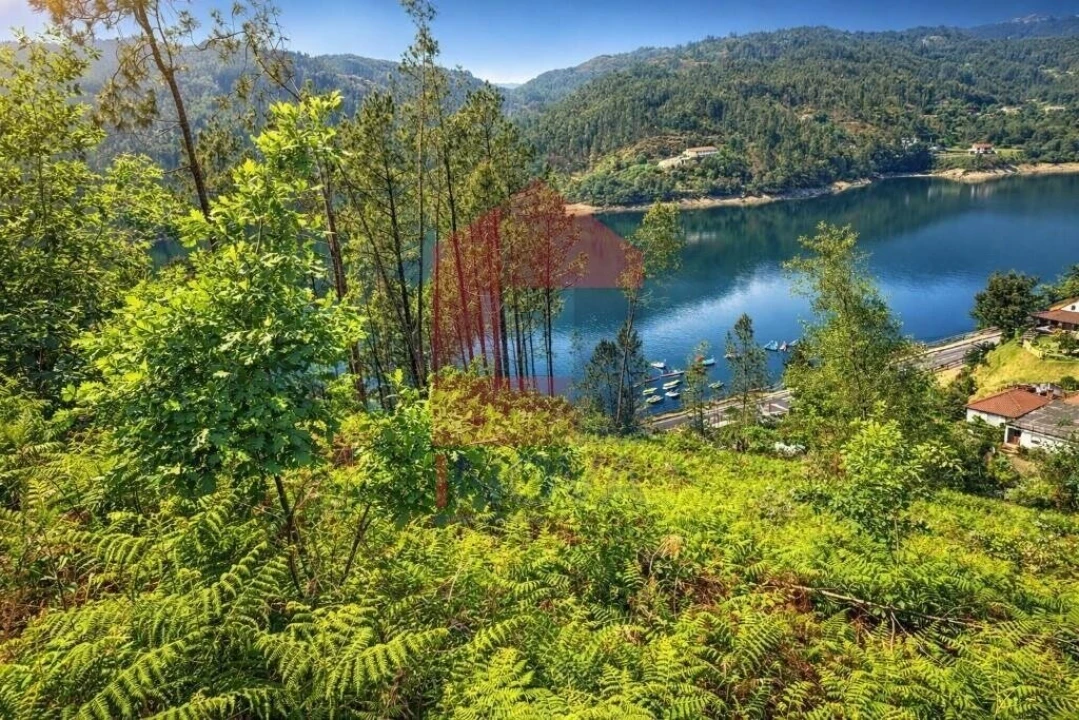 Terreno para Venda em Vilar da Veiga Foto 6