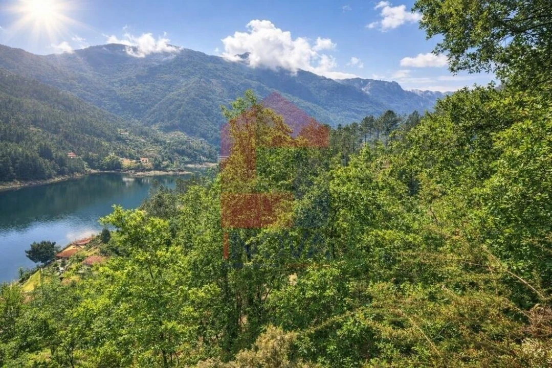 Terreno para Venda em Vilar da Veiga Foto 4