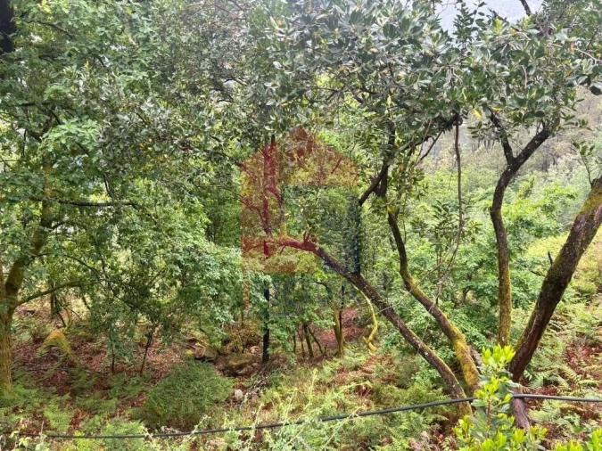 Terreno para Venda em Vilar da Veiga Foto 12