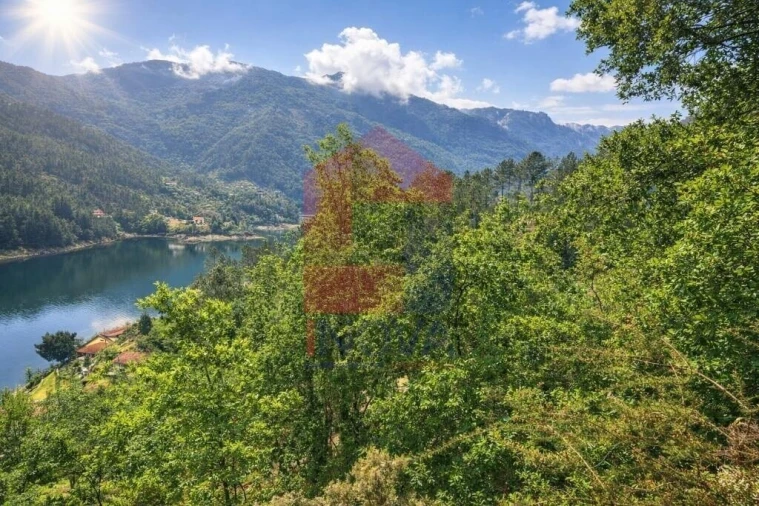 Terreno para Venda em Vilar da Veiga Foto 4