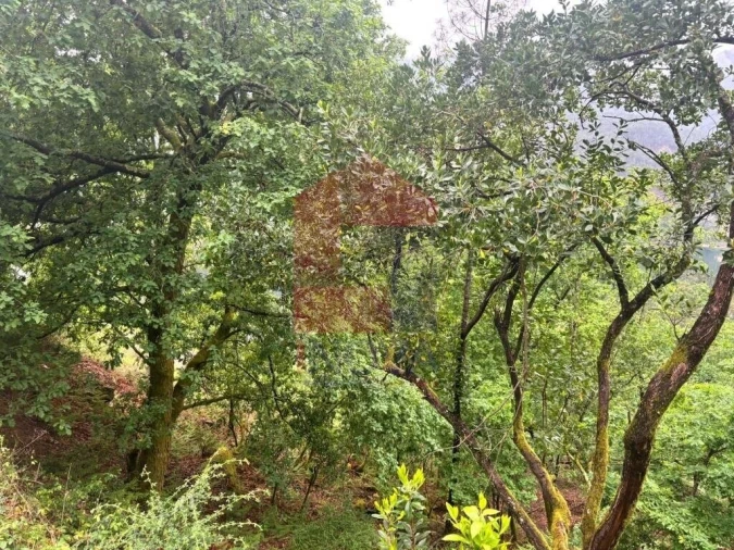 Terreno para Venda em Vilar da Veiga Foto 11
