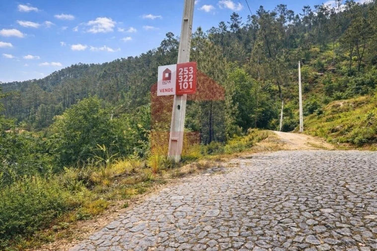 Terreno para Venda em Vilar da Veiga Foto 18