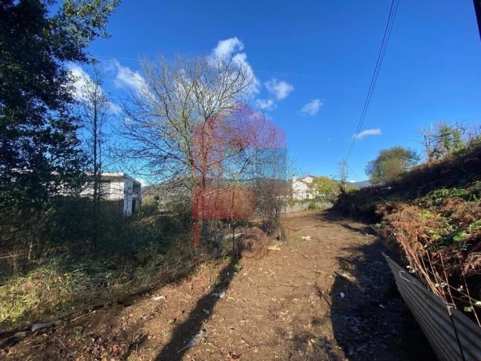 Terreno para Venda em Ribeira do Neiva Foto 3