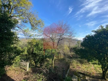 Moradia T5 para Venda em Ribeira do Neiva