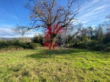 Moradia T5 para Venda em Ribeira do Neiva