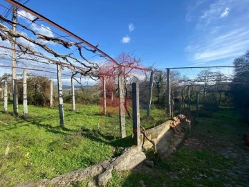 Moradia T5 para Venda em Ribeira do Neiva