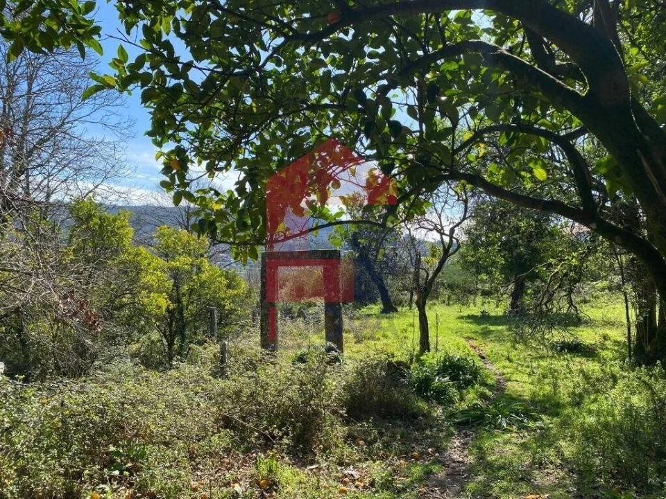 Moradia T5 para Venda em Ribeira do Neiva Foto 49