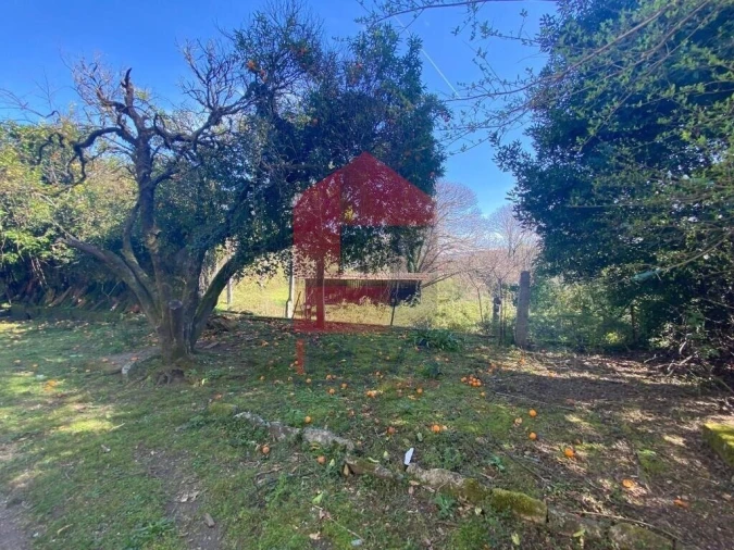 Moradia T5 para Venda em Ribeira do Neiva Foto 50