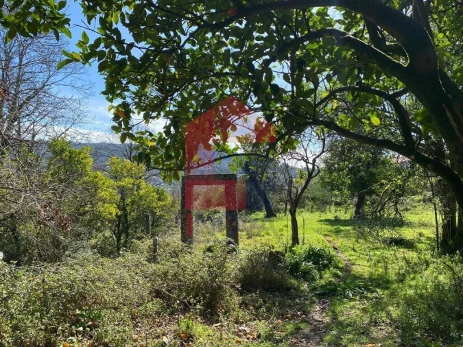 Moradia T5 para Venda em Ribeira do Neiva Foto 49