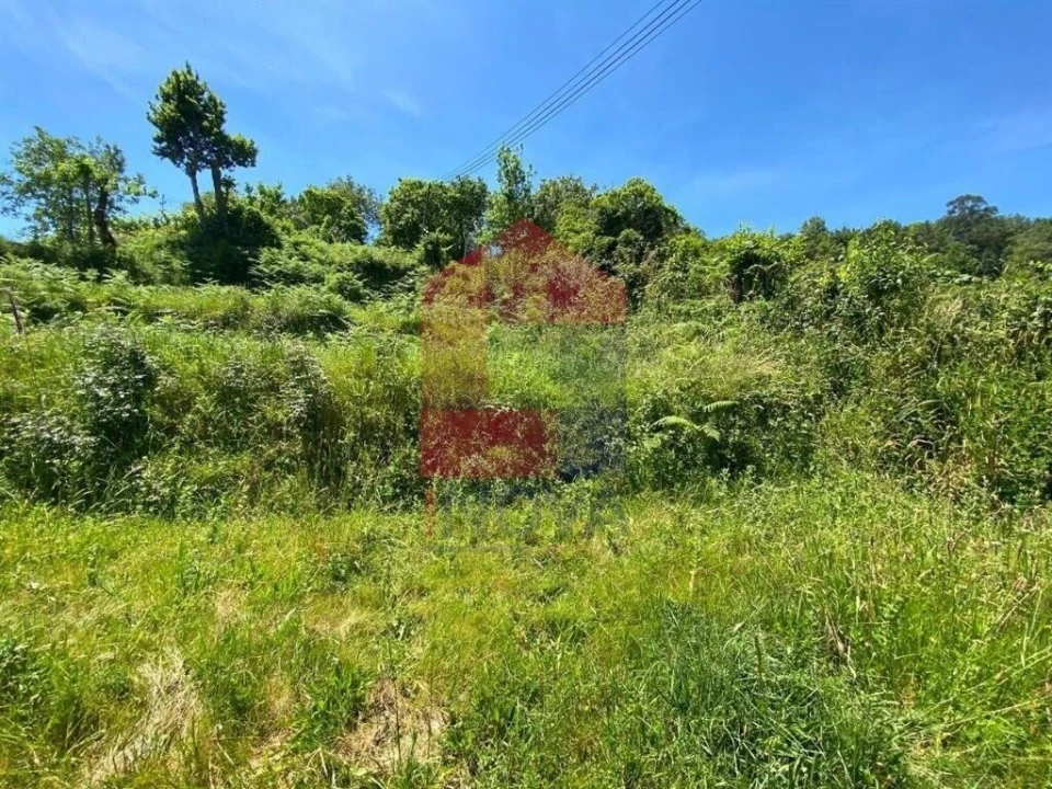 Terreno para Venda em Vade Foto 7