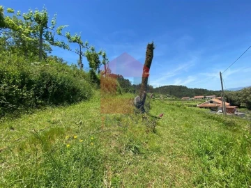 Terreno para Venda em Vade