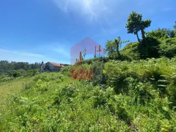 Terreno para Venda em Vade