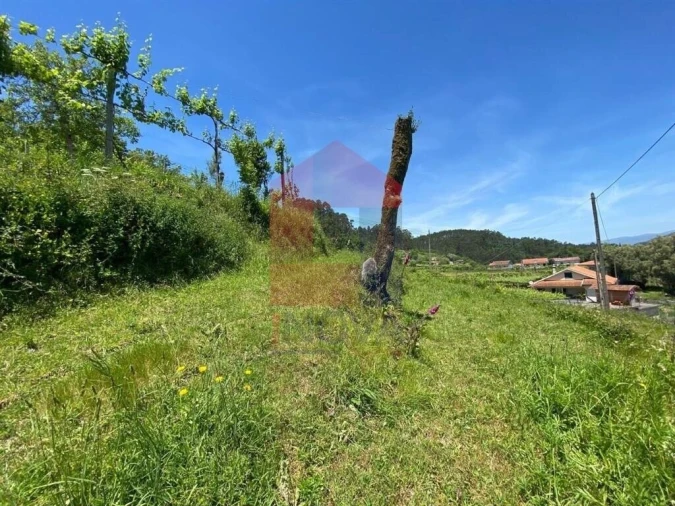 Terreno para Venda em Vade Foto 21