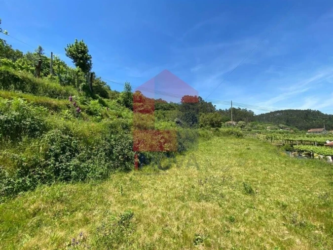 Terreno para Venda em Vade Foto 3