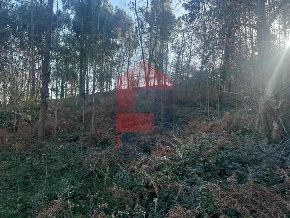 Terreno para Venda em Ribeira do Neiva Foto 17