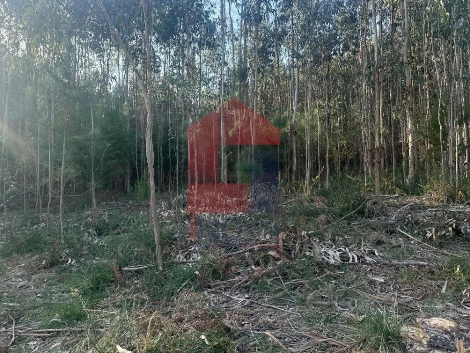 Terreno para Venda em Ribeira do Neiva Foto 16