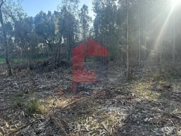 Terreno para Venda em Ribeira do Neiva