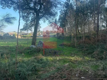 Terreno para Venda em Ribeira do Neiva