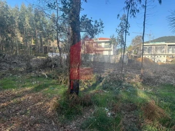 Terreno para Venda em Ribeira do Neiva