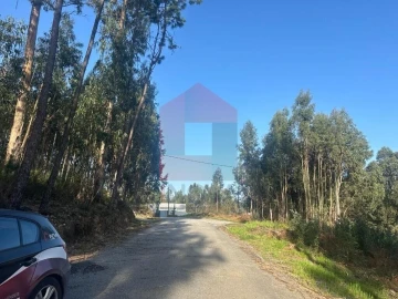 Terreno para Venda em Ribeira do Neiva