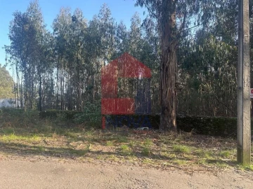 Terreno para Venda em Ribeira do Neiva