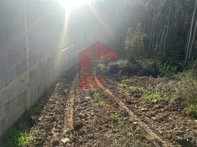 Terreno para Venda em Ribeira do Neiva Foto 7
