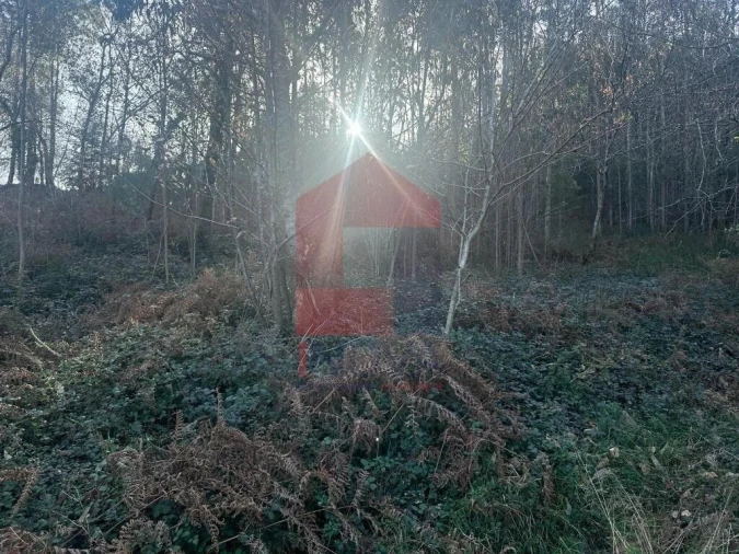 Terreno para Venda em Ribeira do Neiva Foto 18