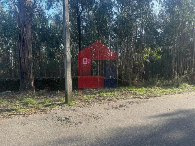 Terreno para Venda em Ribeira do Neiva Foto 5