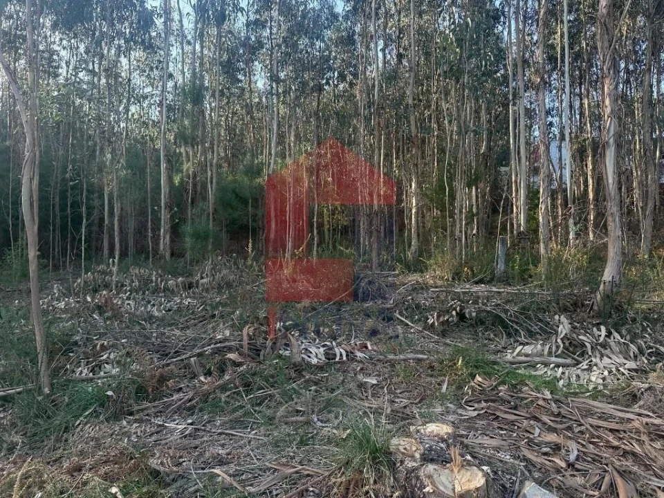 Terreno para Venda em Ribeira do Neiva Foto 11
