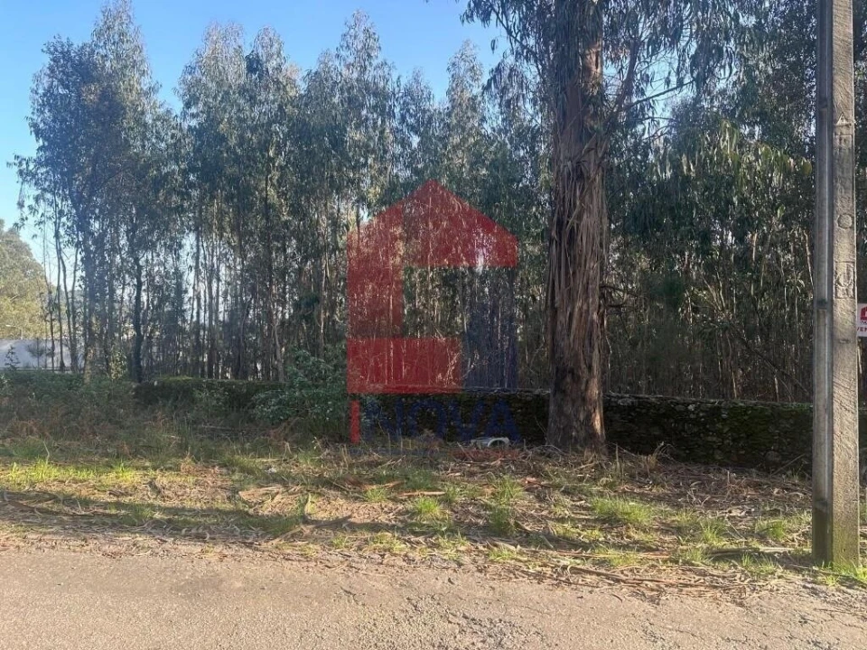 Terreno para Venda em Ribeira do Neiva Foto 2