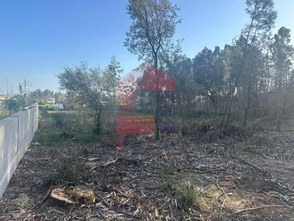 Terreno para Venda em Ribeira do Neiva Foto 9