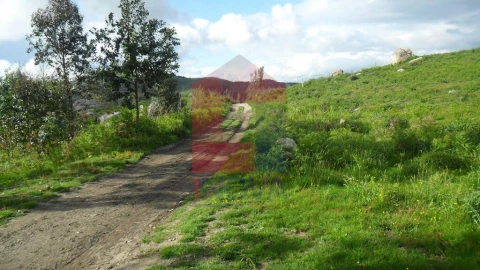 Terreno para Venda em Ribeira do Neiva