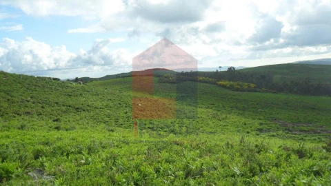Terreno para Venda em Ribeira do Neiva