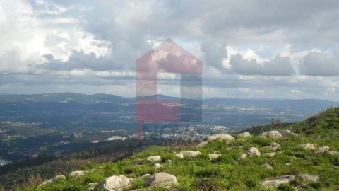 Terreno para Venda em Ribeira do Neiva