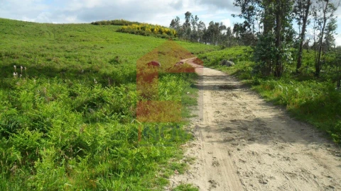 Terreno para Venda em Ribeira do Neiva