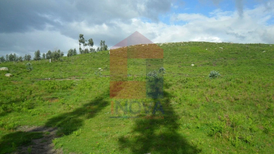 Terreno para Venda em Ribeira do Neiva Foto 2