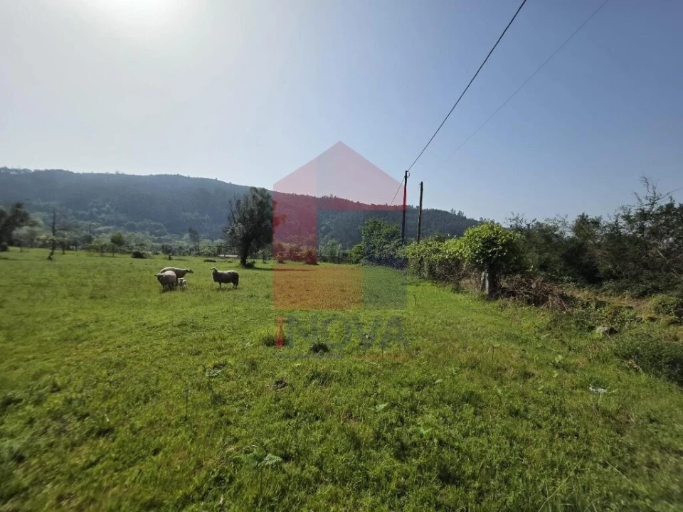 Moradia T3 para Venda em Esqueiros, Nevogilde e Travassós Foto 20