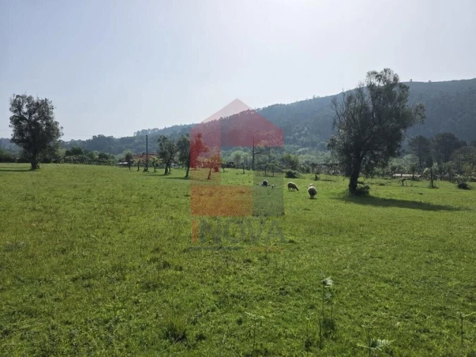 Moradia T3 para Venda em Esqueiros, Nevogilde e Travassós Foto 32